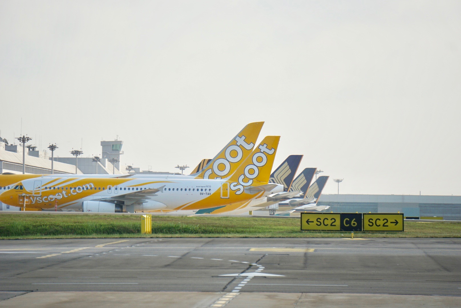 Scoot SQ Tails (CAG)