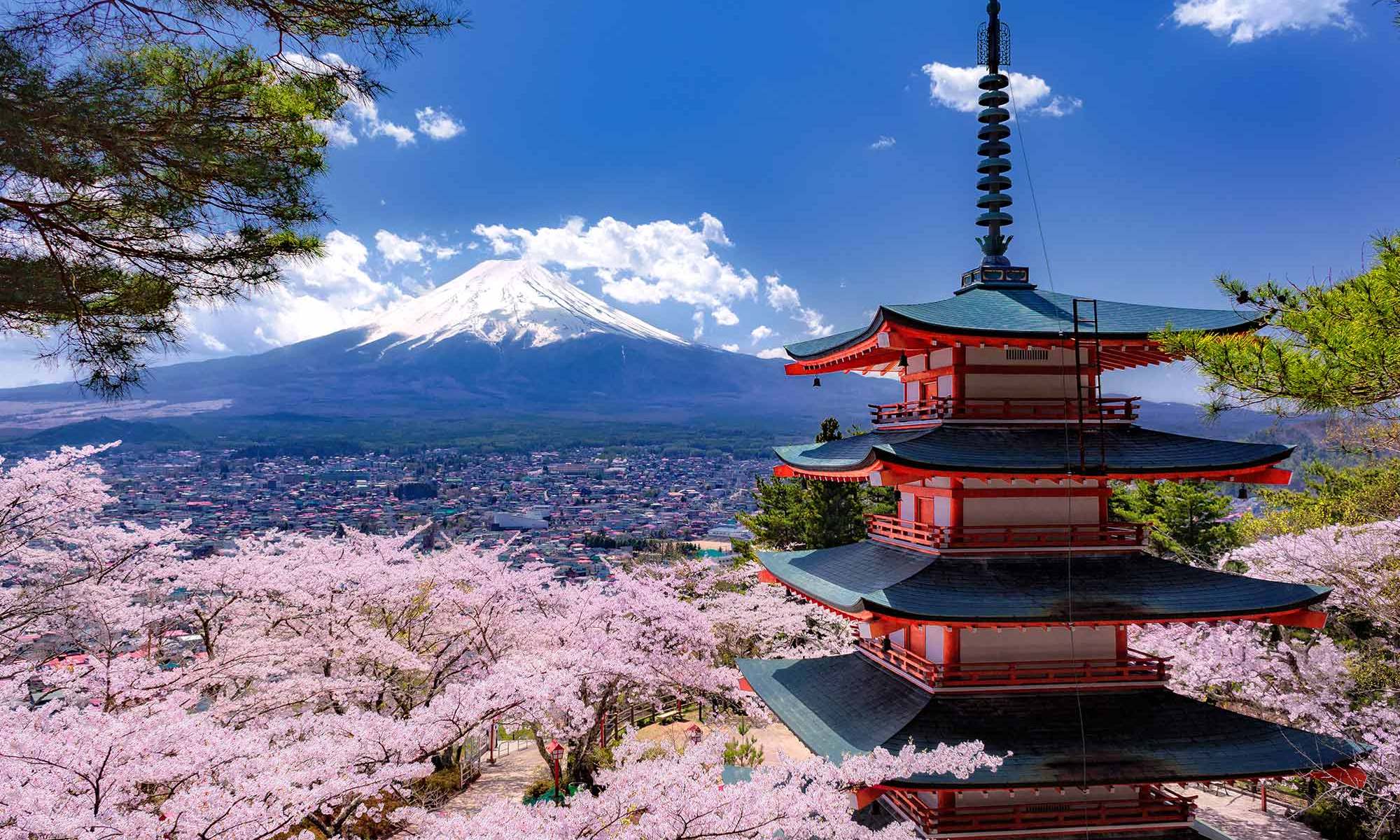 japan non guided tour package from singapore