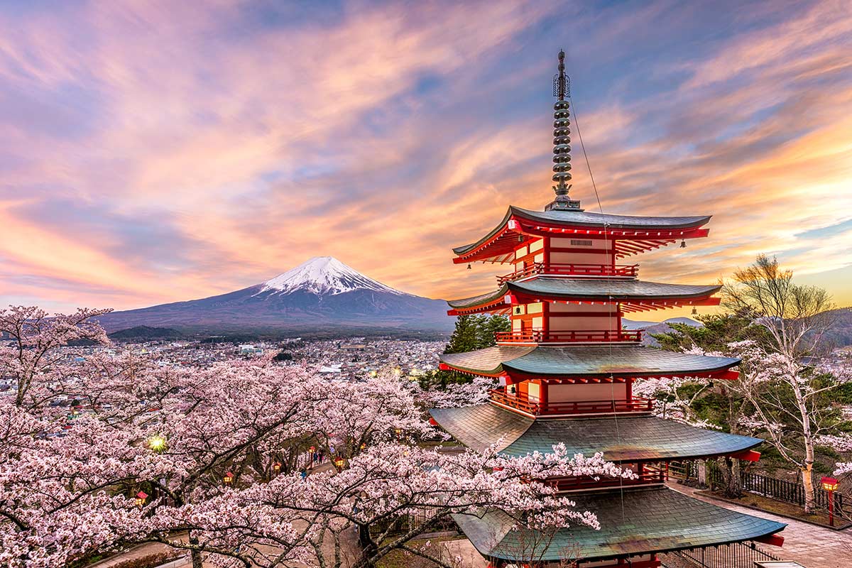 japan non guided tour package from singapore