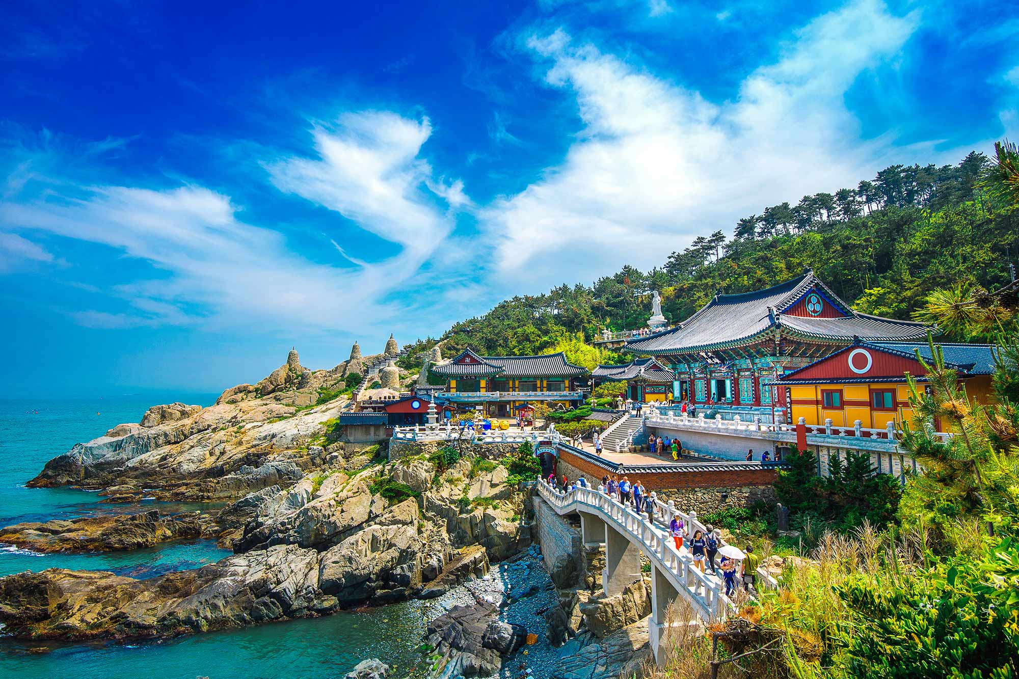Singapore Airlines postpones Busan relaunch to August 2023 - Mainly Miles