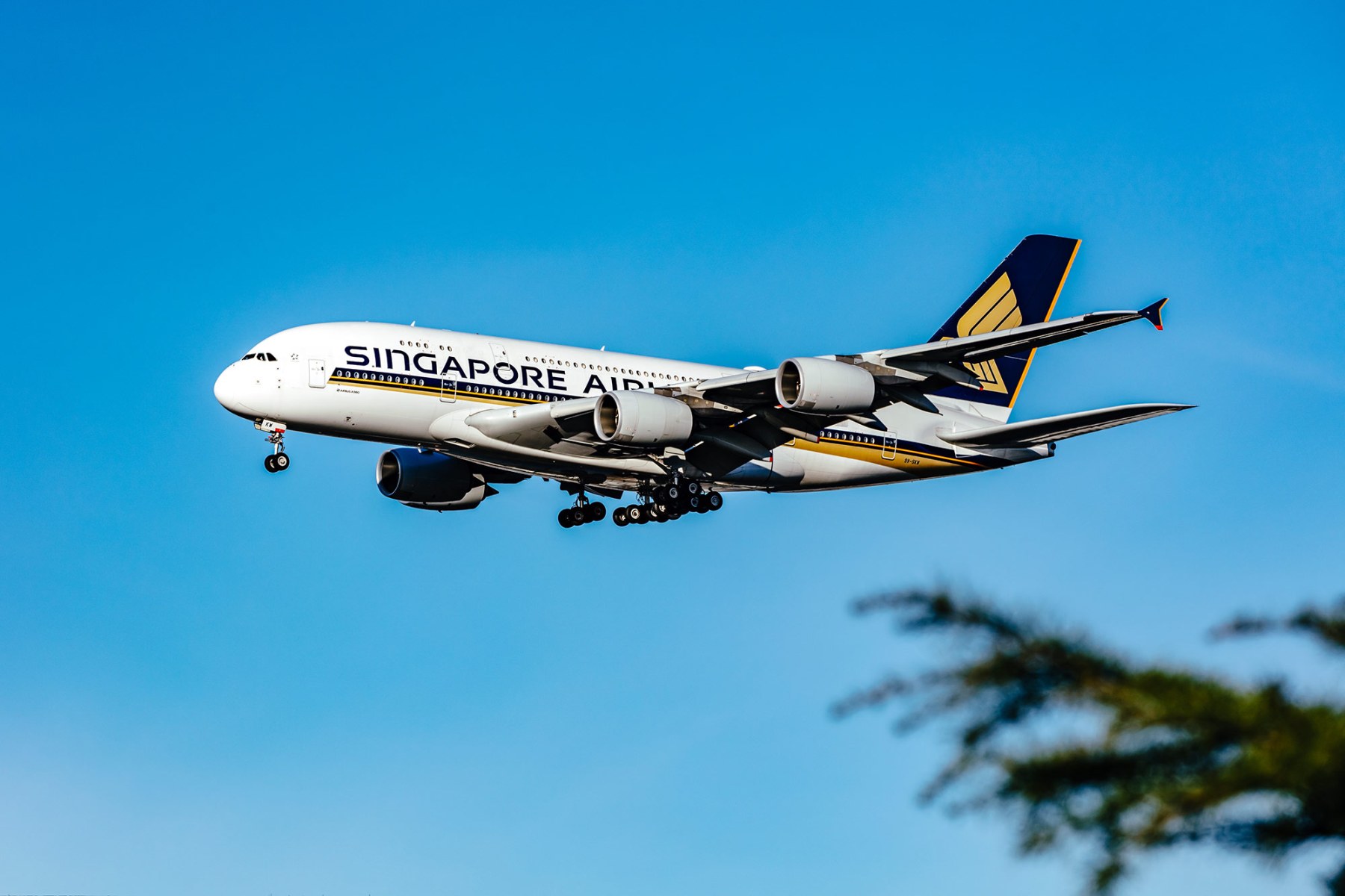 Singapore Airlines brings the A380 back to Shanghai - Mainly Miles